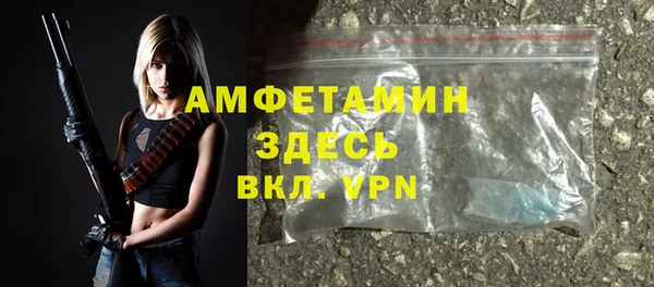 шишки Наволоки