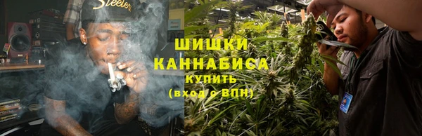 шишки Наволоки